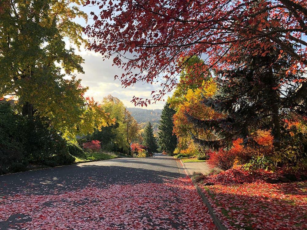 Rochester Hills, United States